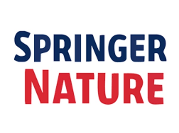 Springer Nature МГУ Кулешова