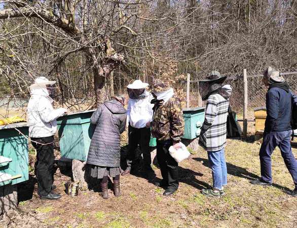 «ПЧЕЛОВОДСТВО»_МГУ_Кулешова