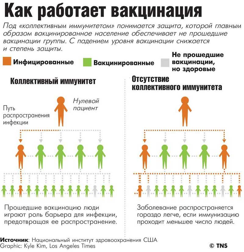 вакцинация от COVID-19_МГУ_Кулешова