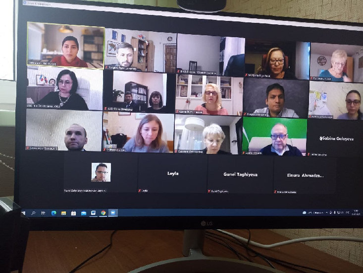 Online meeting of project partners