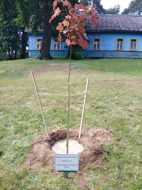 Начало новой традиции_МГУ_Кулешова
