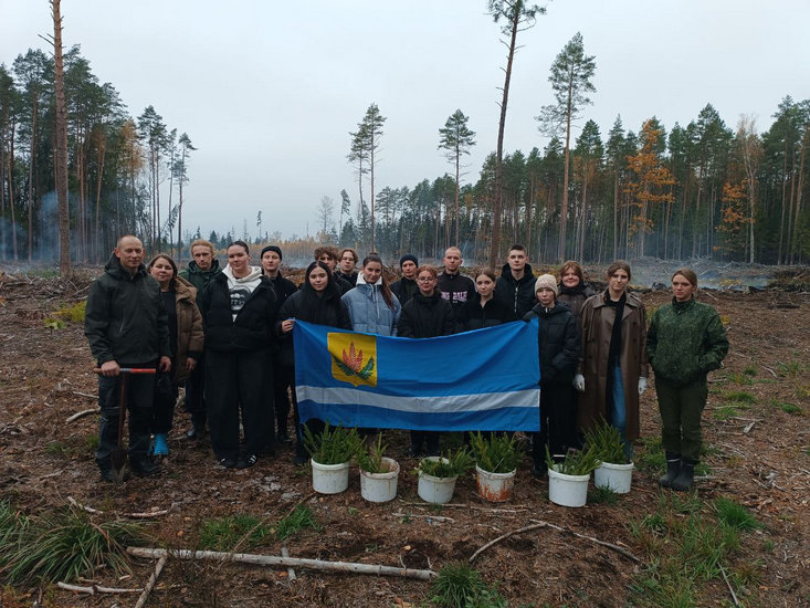 Лес_МГУ_Кулешова