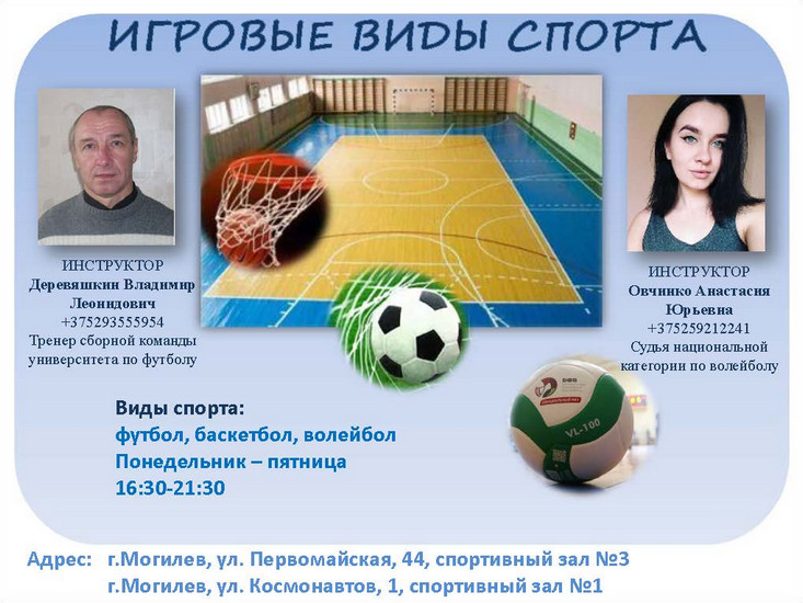 Игровые виды спорта